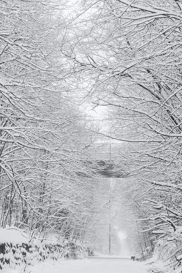 Winter Photograph - Heritage Trails Winter Song B/W by Angelo Marcialis