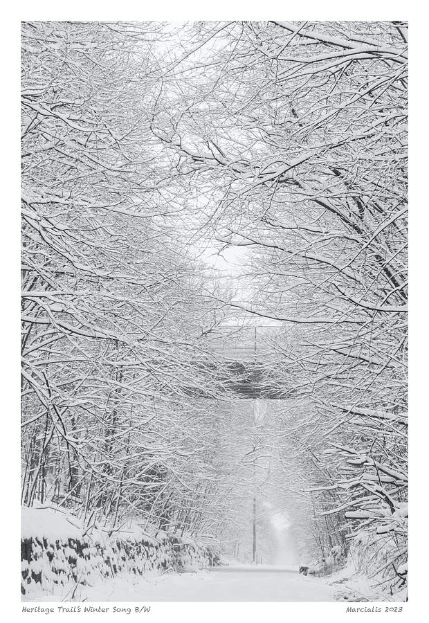 Heritage Trails Winter Song B/W The Signature Series Photograph by Angelo Marcialis