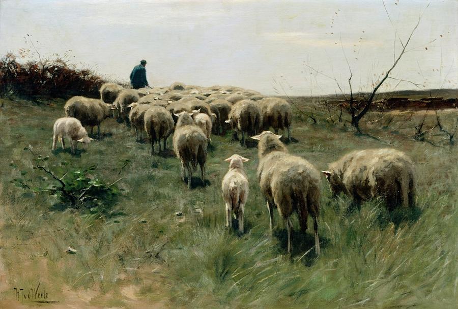 Herman Johannes van der Weele Dutch 1852-1930 Shepherd with a Flock of ...