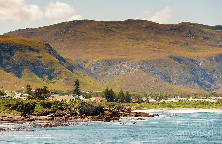 Hermanus Bayside In South Africa Photograph