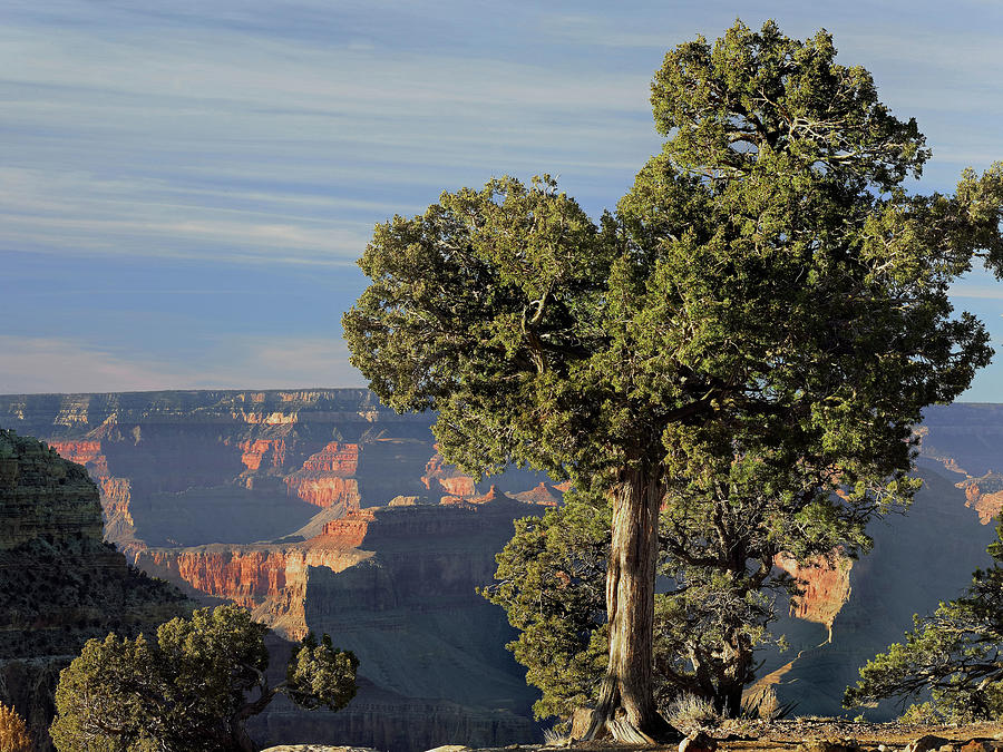 Grand Canyon National Park Photograph - Hermits Rest, South Rim of Grand Canyon National Park, Arizona by Tim Fitzharris