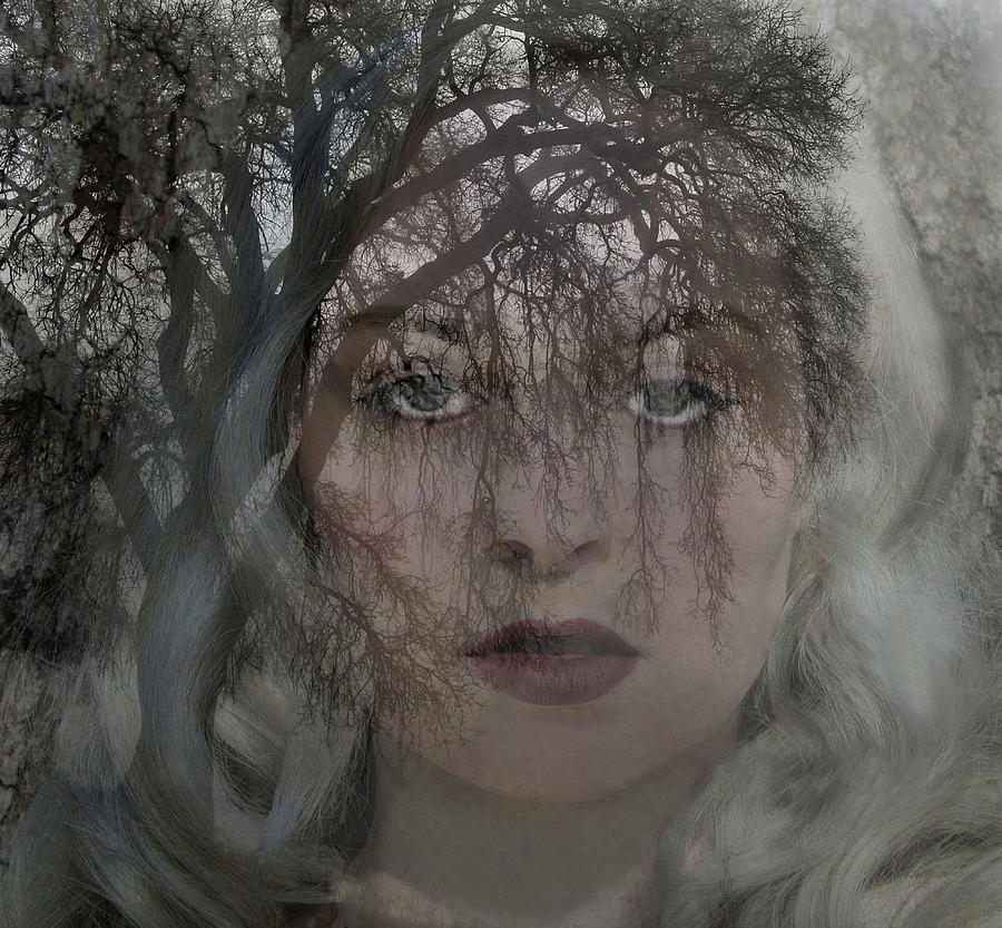 Hermione of A Winters Tale Photograph by Marilyn MacCrakin