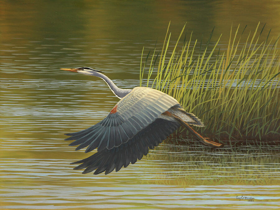Heron Creek Painting by Guy Crittenden