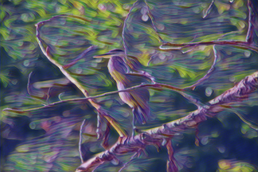 Heron Harmonized Photograph