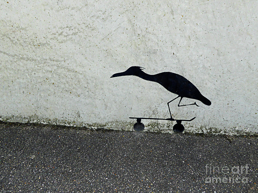 HERON IN A HURRY lonely figure of  skateboarding heron as striking impersonation  Photograph by Tatiana Bogracheva