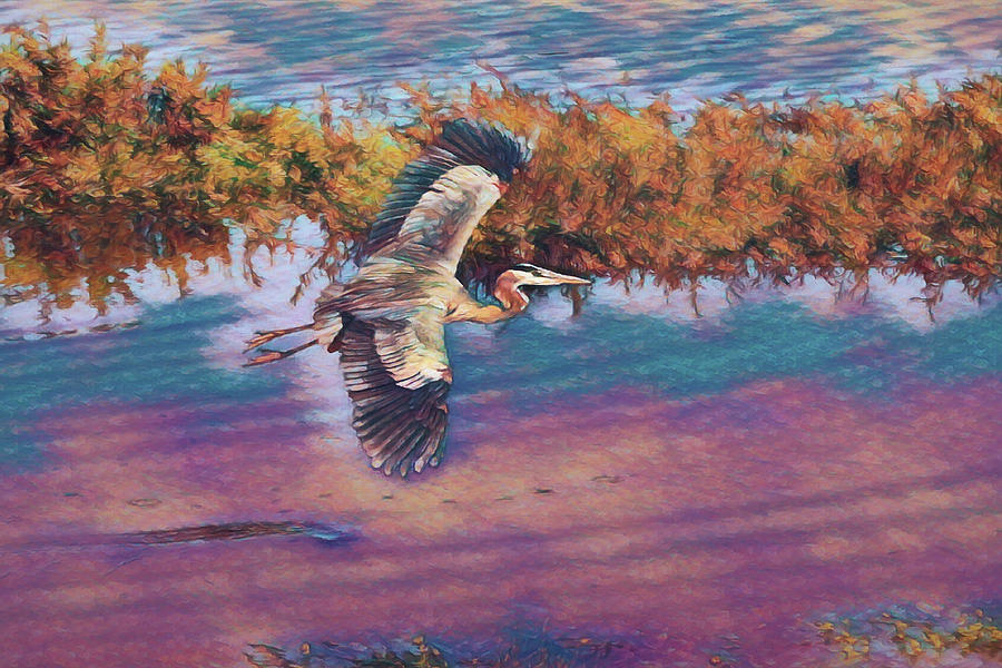 Heron in Flight Digital Art Digital Art by Ernest Echols