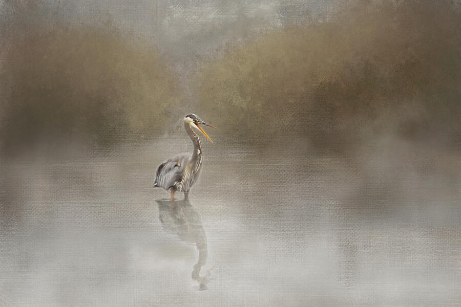 Heron in the Fog Photograph by Marilyn Wilson