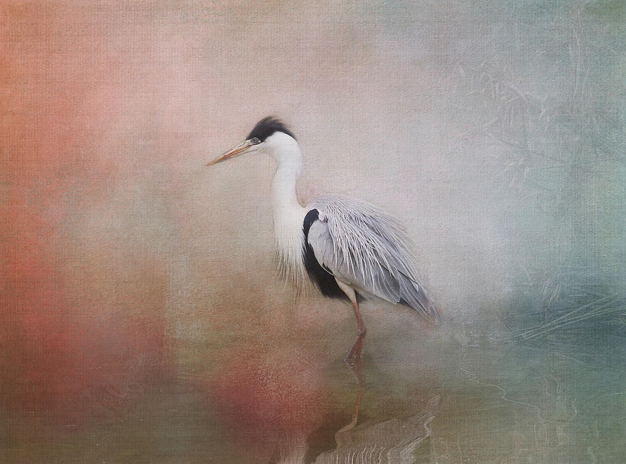 Heron on Misty Morning Digital Art by Terry Davis