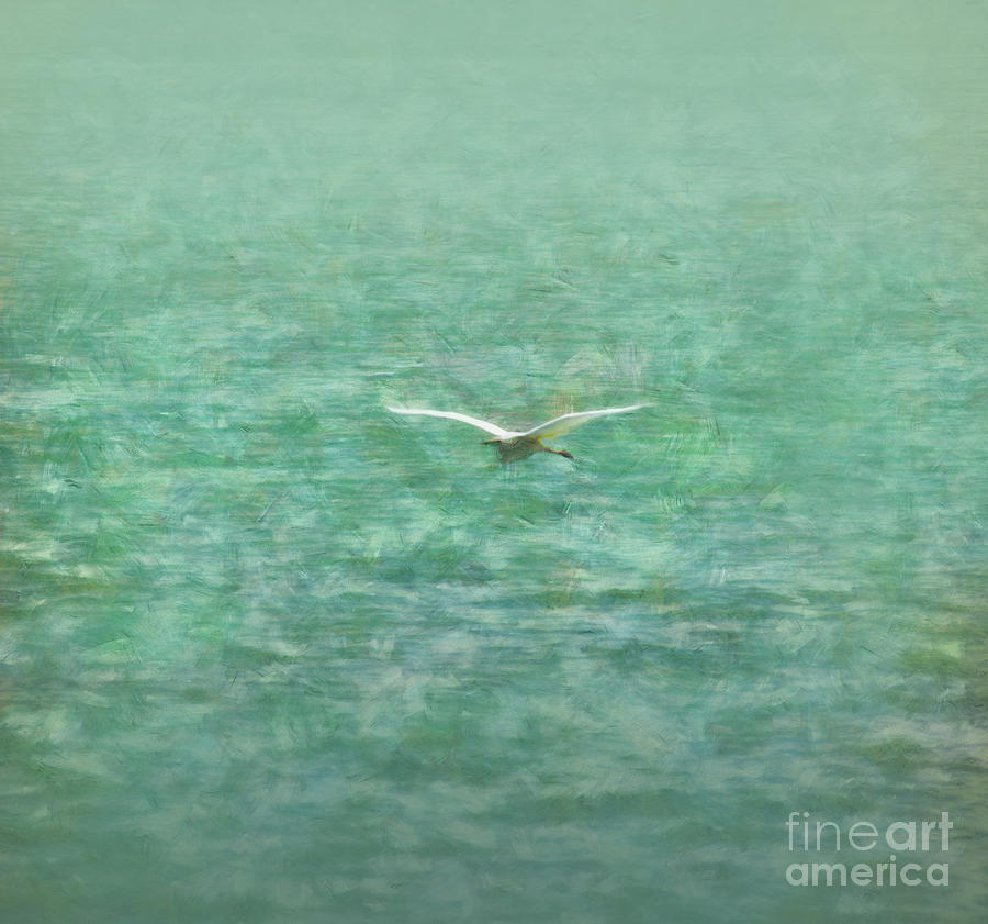 Heron over lake Painting by Alexa Szlavics