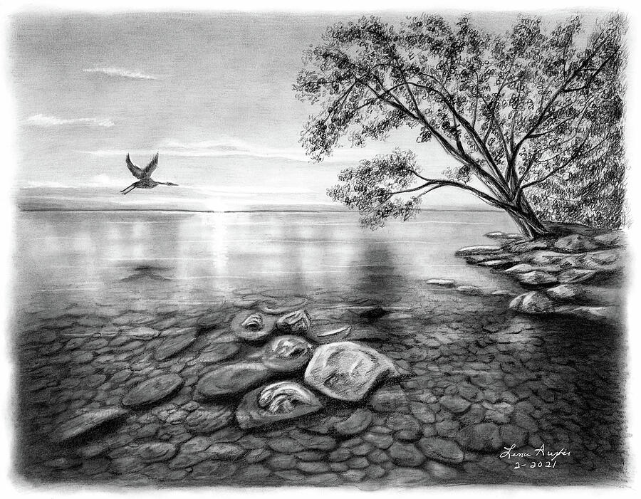 Heron Over Lake Drawing by Lena Auxier