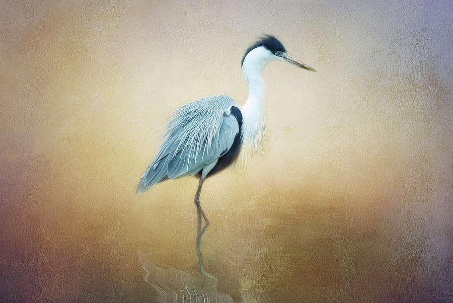 Heron Reflection Digital Art by Terry Davis