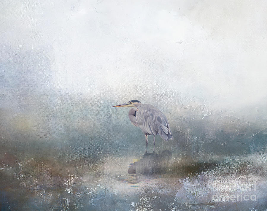 Wildlife Digital Art - Heron series A, no. 4 by Marilyn Wilson