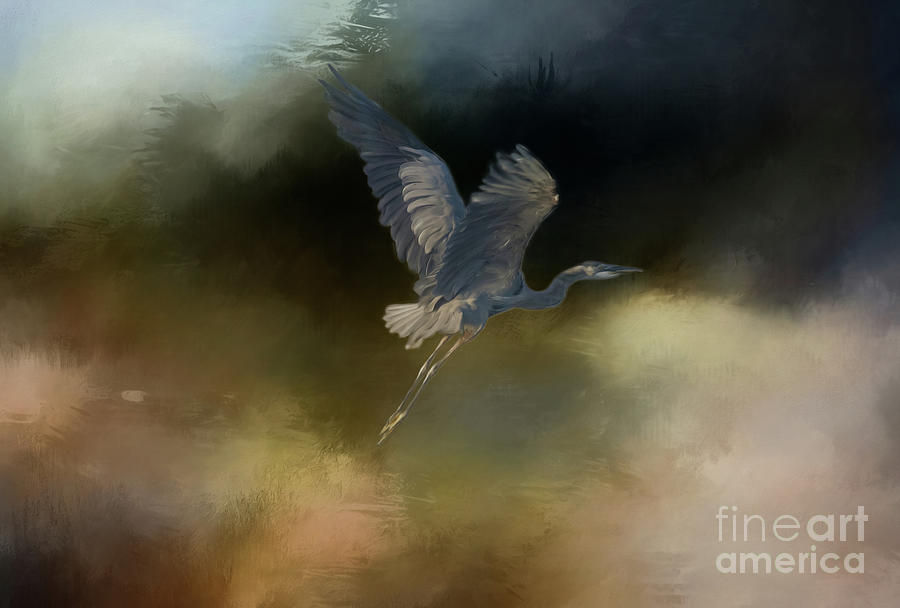 Heron Digital Art - Heron series F, no. 2 by Marilyn Wilson