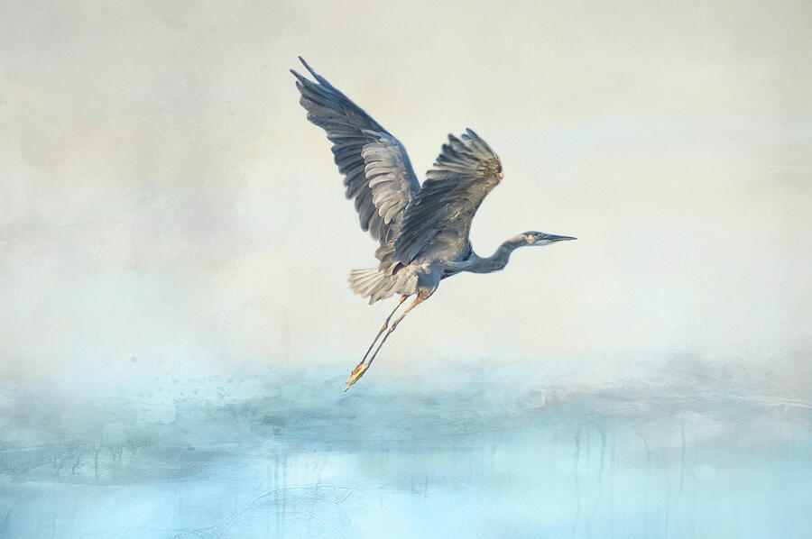 Heron Digital Art - Heron series F, no. 3 by Marilyn Wilson