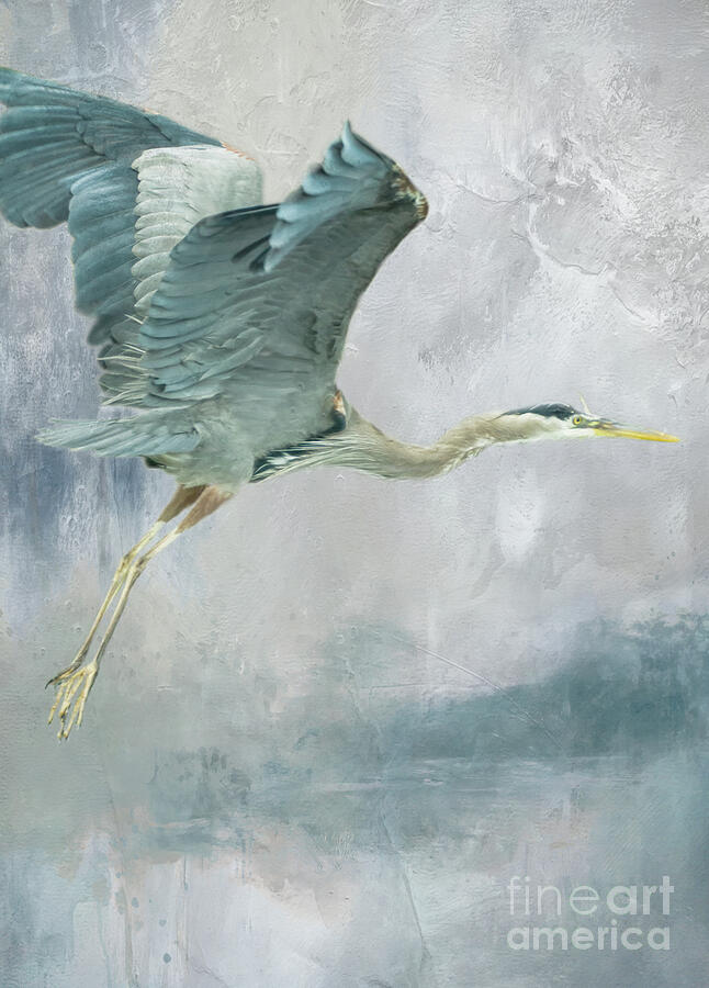 Wildlife Digital Art - Heron series I, no. 1 by Marilyn Wilson