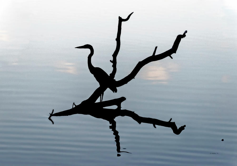 Heron Silhouette Digital Art by Brian Wallace