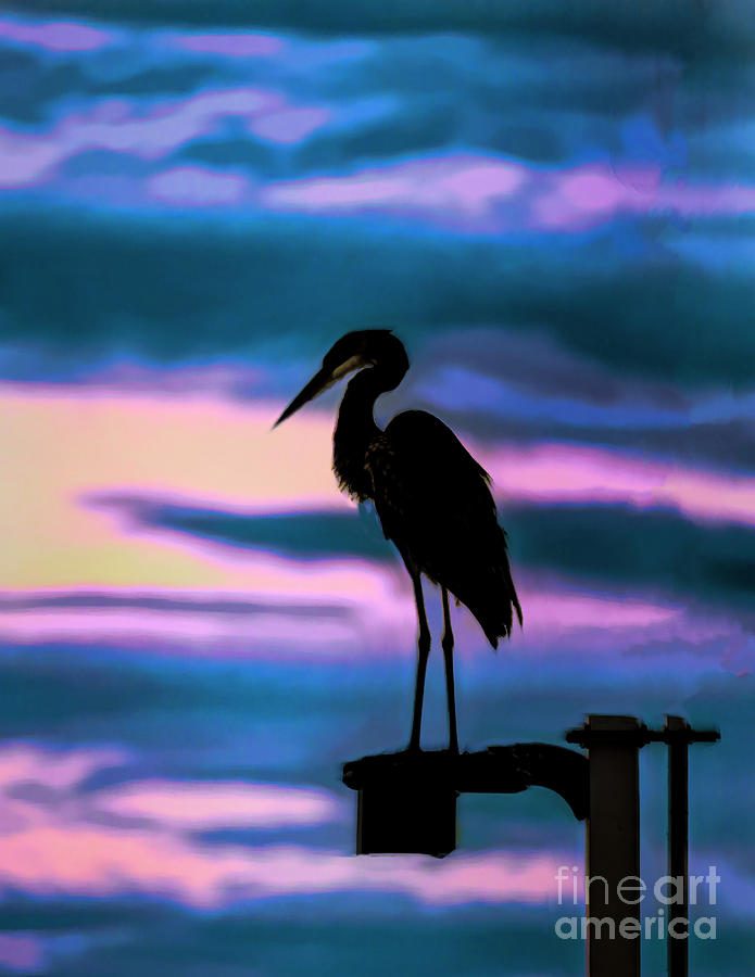 Heron Silhouette  Photograph by Nick Zelinsky Jr