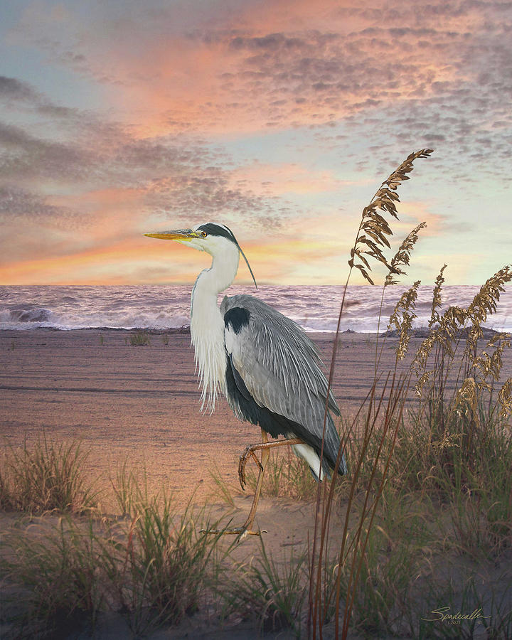 Heron Strolling at Sunset Digital Art by Spadecaller