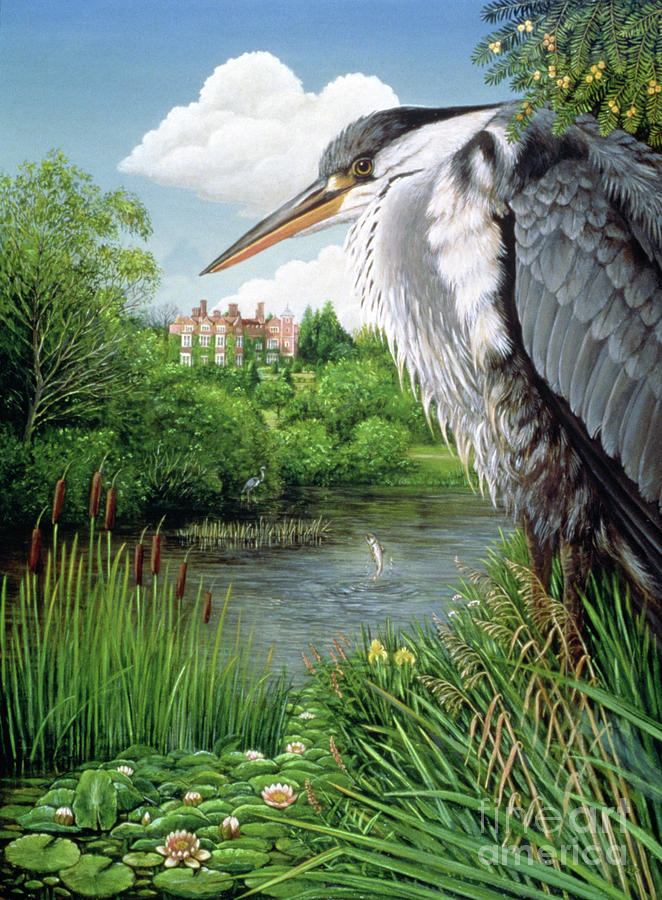 Heron Painting - Herons at Chilham by Frances Broomfield