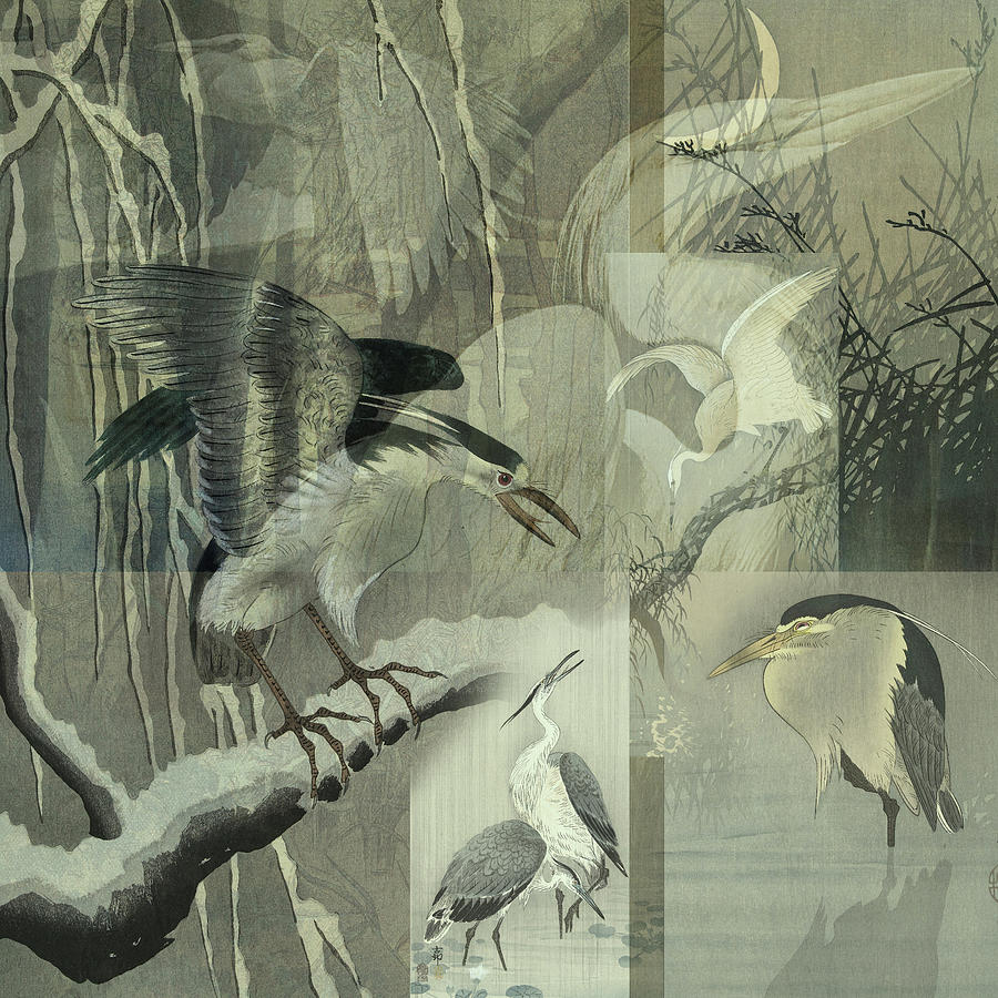 Herons in green Digital Art by Nop Briex