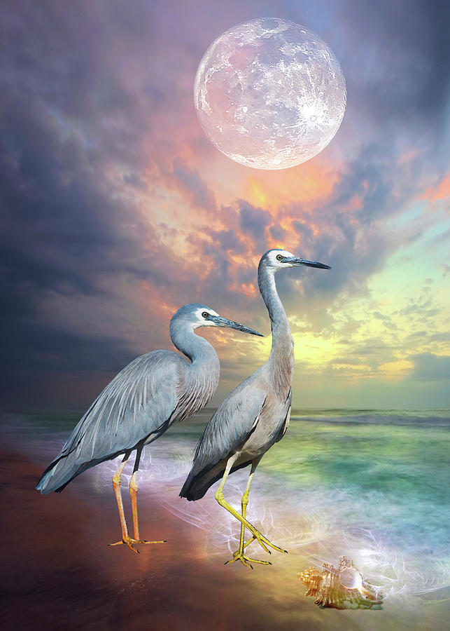 Herons In Moonlight Mixed Media by Tammera Malicki-Wong - Fine Art America