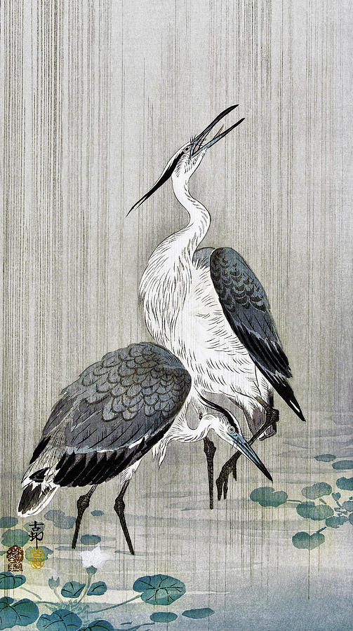 Herons in the rain - Digital Remastered Edition Painting by Ohara Koson ...