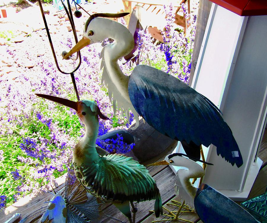 Herons Photograph by Stephanie Moore