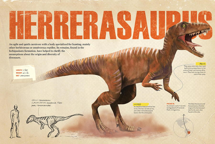 Herrerasaurus Digital Art by Album
