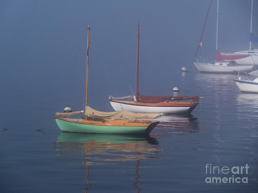 Herreshoff 12s in fog 323 Photograph by Butch Lombardi