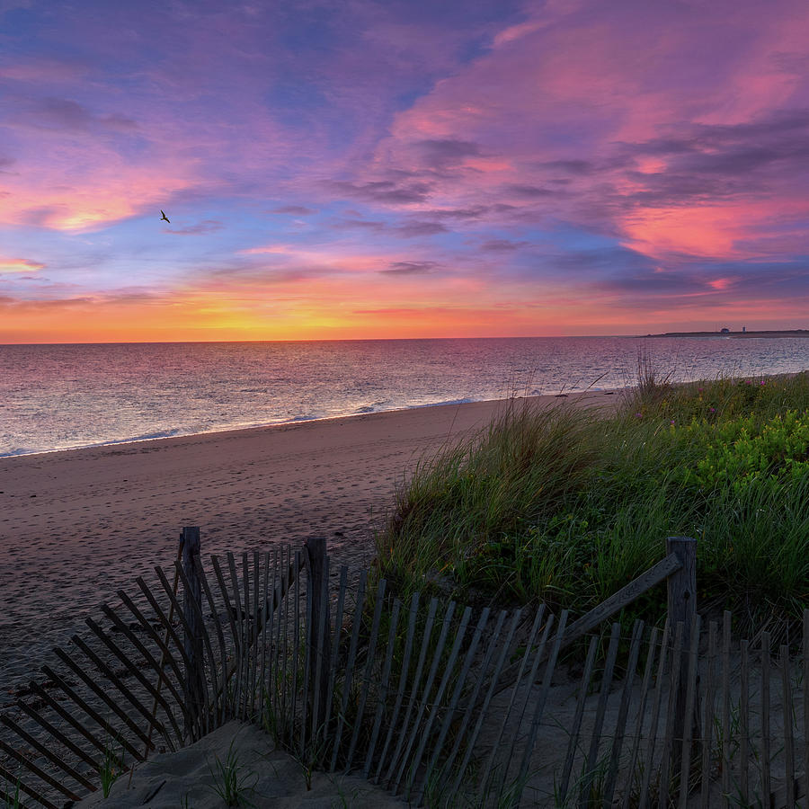 Beach Photograph - Herring Cove Beach Sunset Square by Bill Wakeley