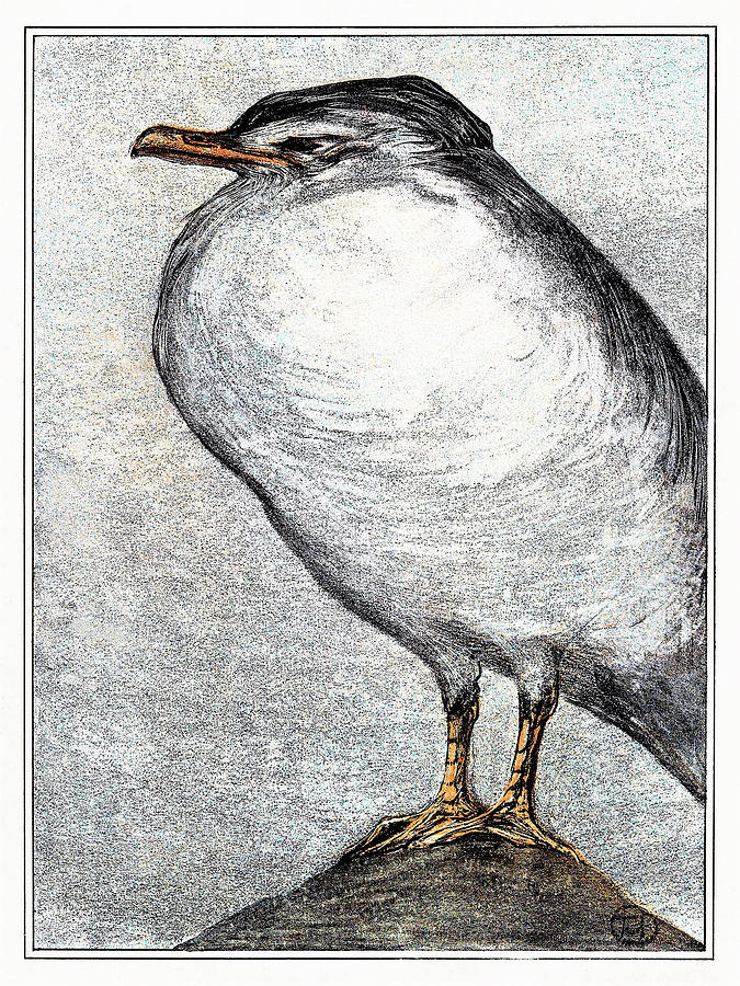 Animal Painting - Herring Gull - Digital Remastered Edition by Theodorus van Hoytema