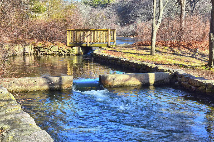 Herring Run Photograph by Catherine Reusch Daley - Fine Art America