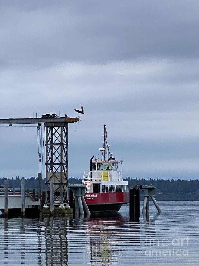 Herron Island Ferry Photograph by Lisa Kleiner Fine Art America