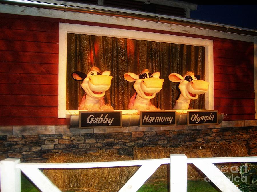 Hershey Singing Cows Photograph by LaDonna McCray