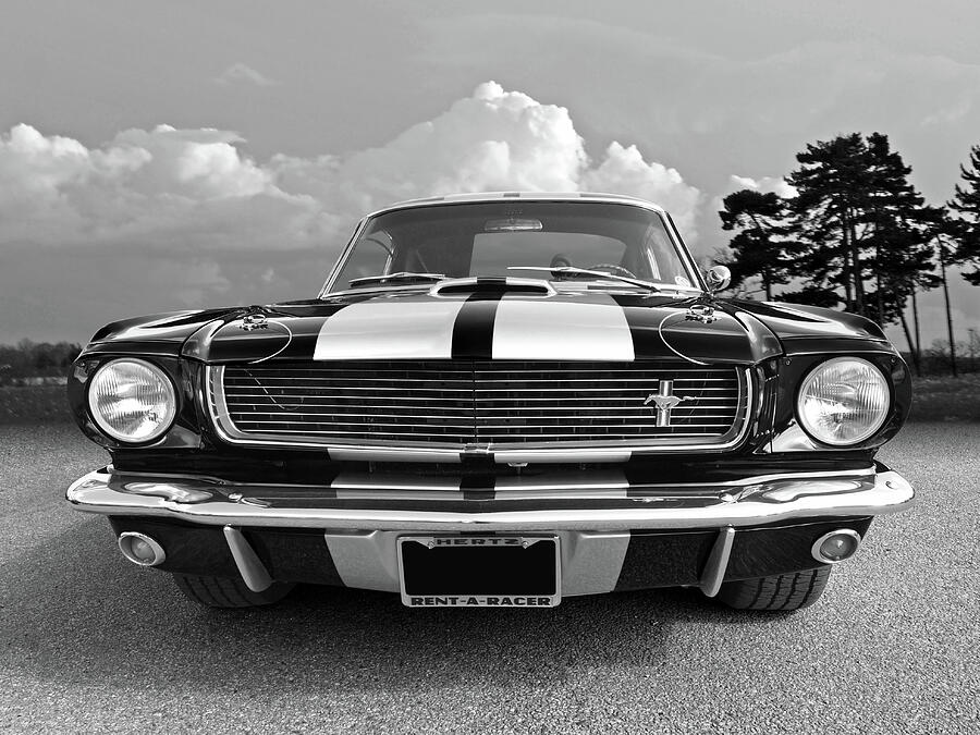 Hertz Rent a Racer Mustang 1966 Black and White Photograph by Gill Billington