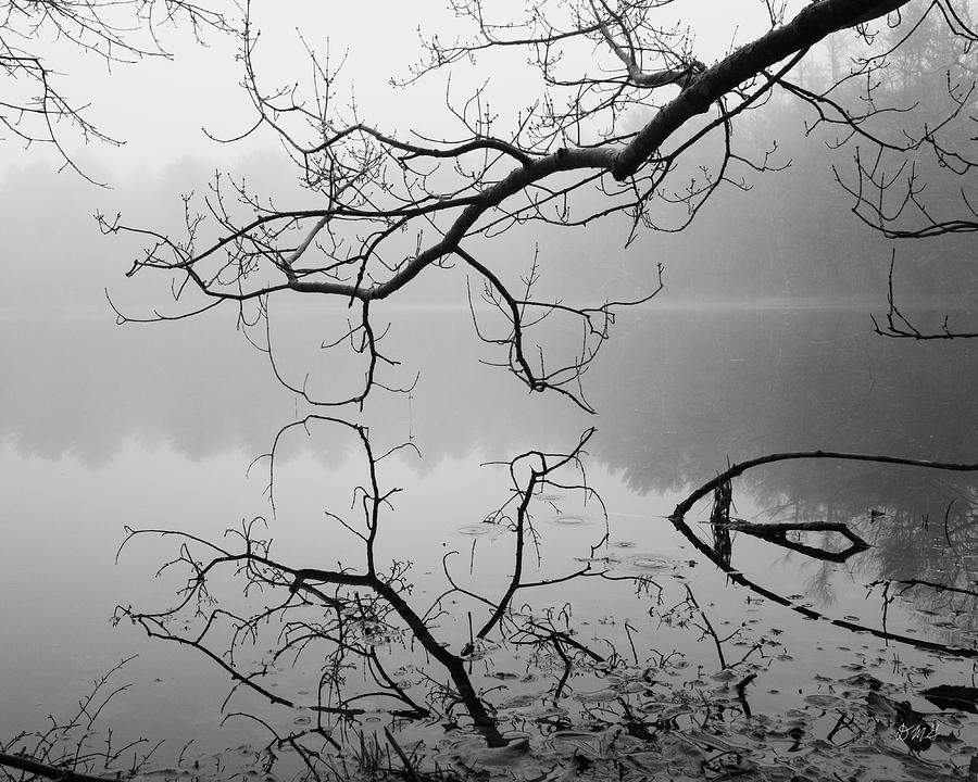 Hewitt Pond III BW Photograph by David Gordon