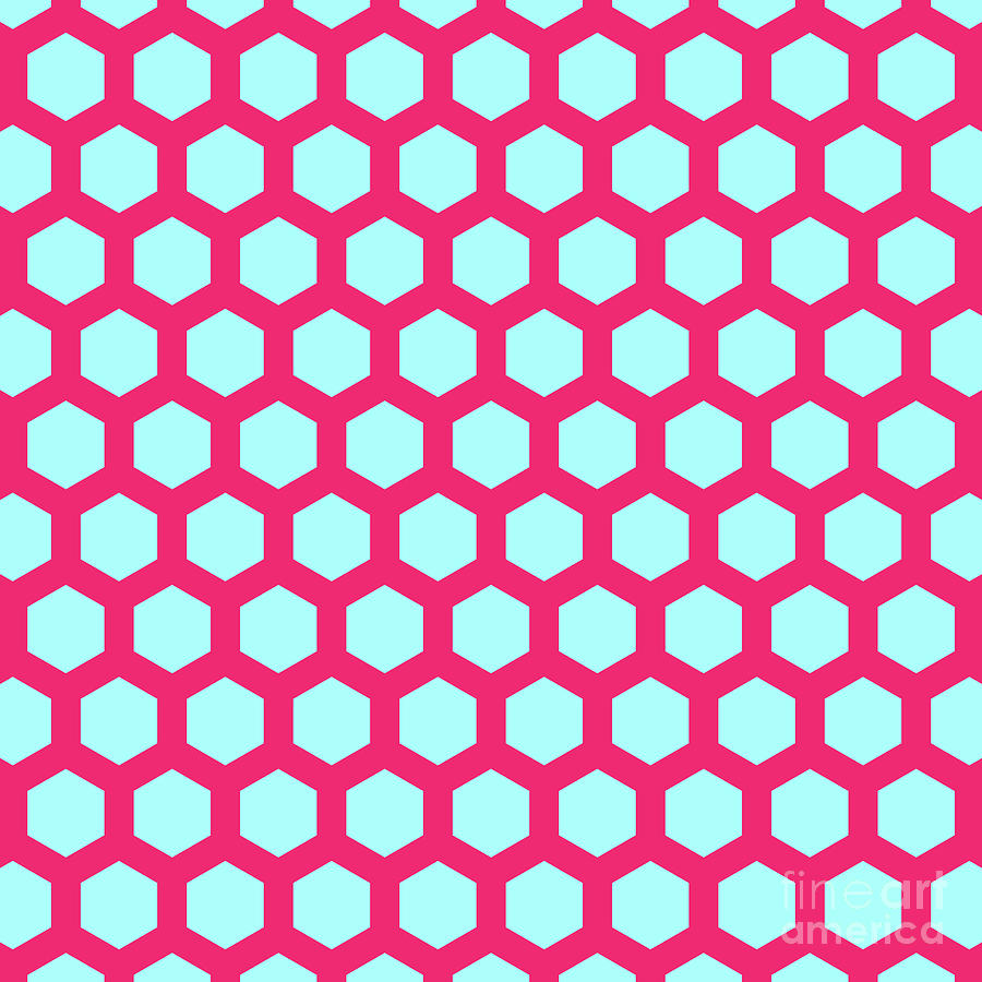 Hexagon Honeycomb Japanese Kikko Pattern In Light Aqua And Raspberry Pink N.2080 Painting