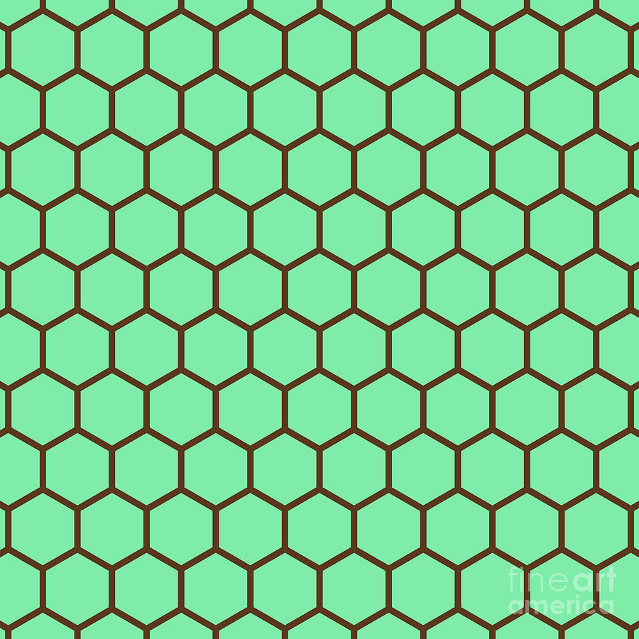 Hexagon Honeycomb Japanese Kikko Pattern In Mint Green And Chocolate Brown N.2042 Painting