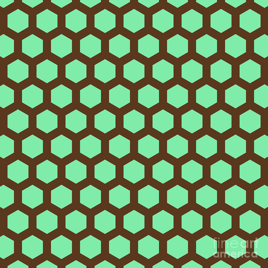 Hexagon Honeycomb Japanese Kikko Pattern in Mint Green And Chocolate Brown n.2967 Painting by Holy Rock Design