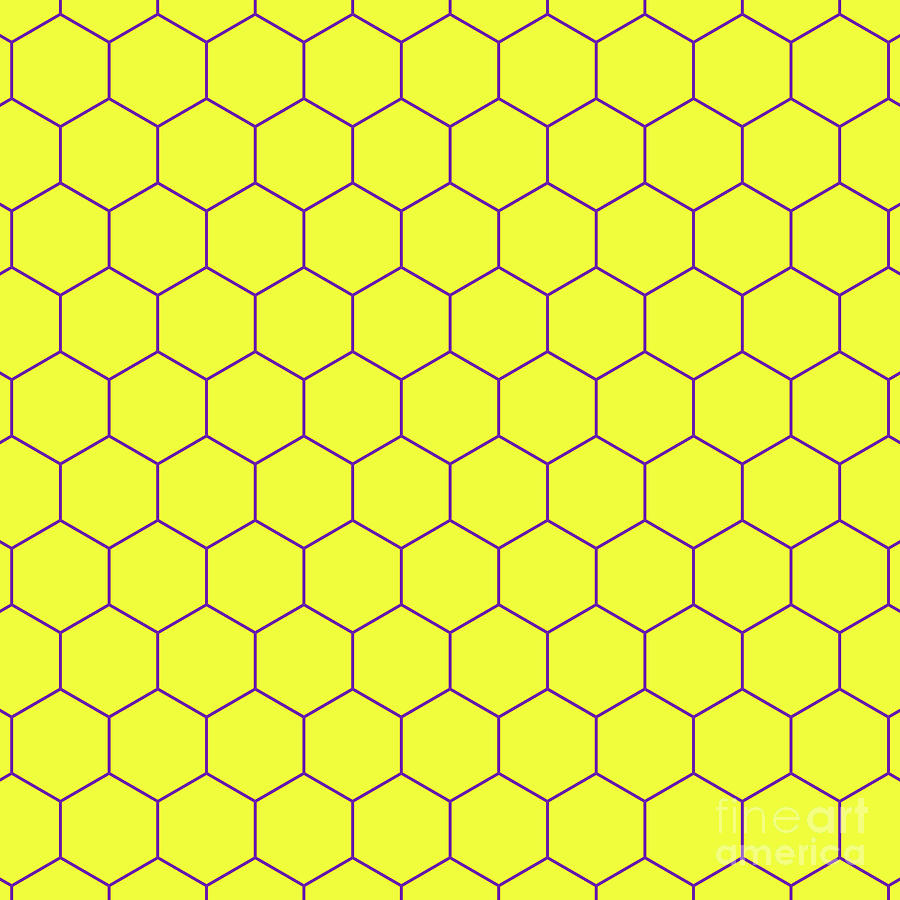 Hexagon Honeycomb Japanese Kikko Pattern In Sunny Yellow And Iris Purple N.2813 Painting