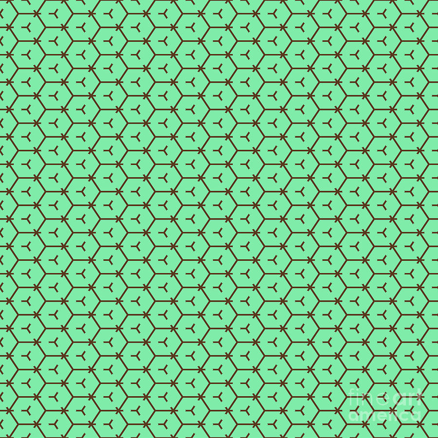 Hexagon With Tribar Motif Pattern In Mint Green And Chocolate Brown N.1220 Painting