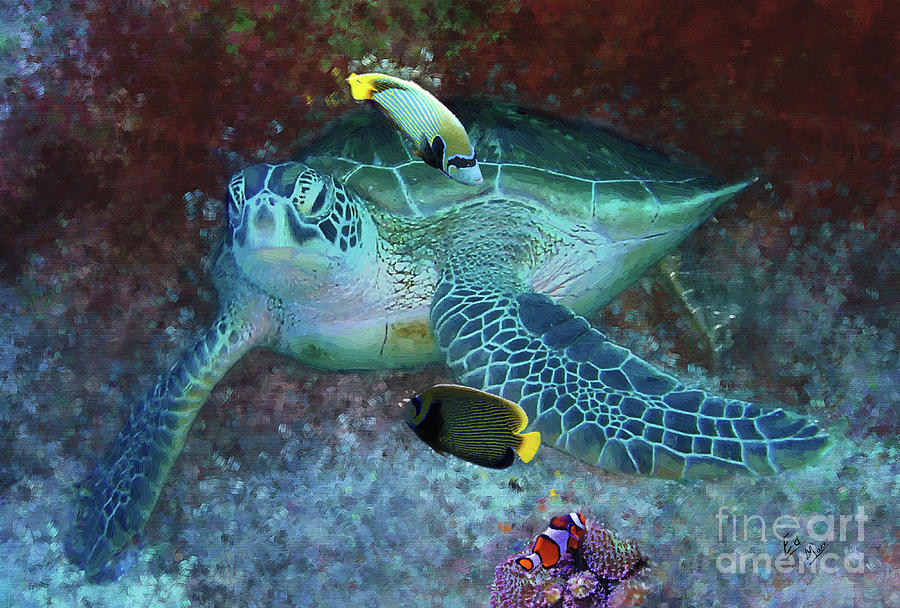 Hey we found Nemo Painting by William Mace