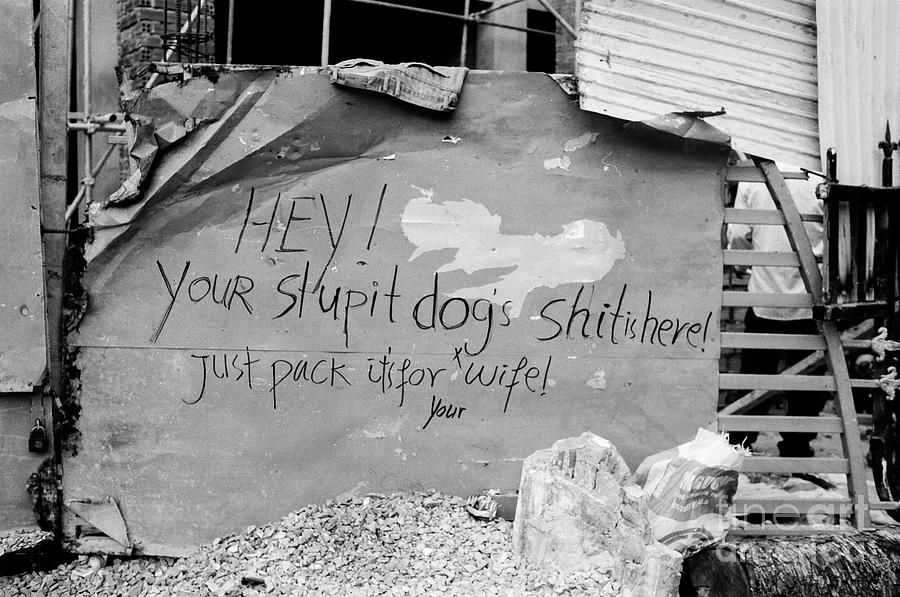 Hey Your Stupit Dogs Shit Photograph by Dean Harte