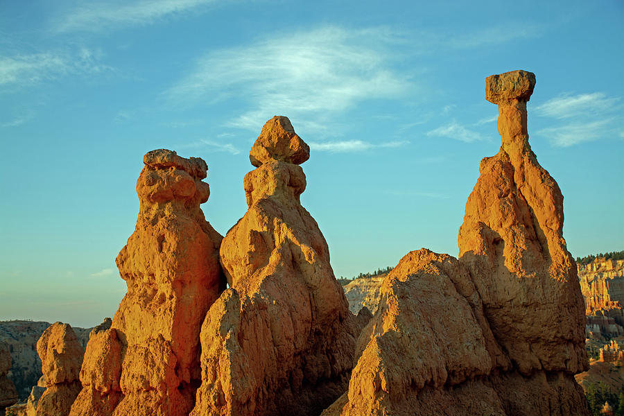 HHodoos Trio in Bryce Canyon National Park Photograph by Bruce Gourley