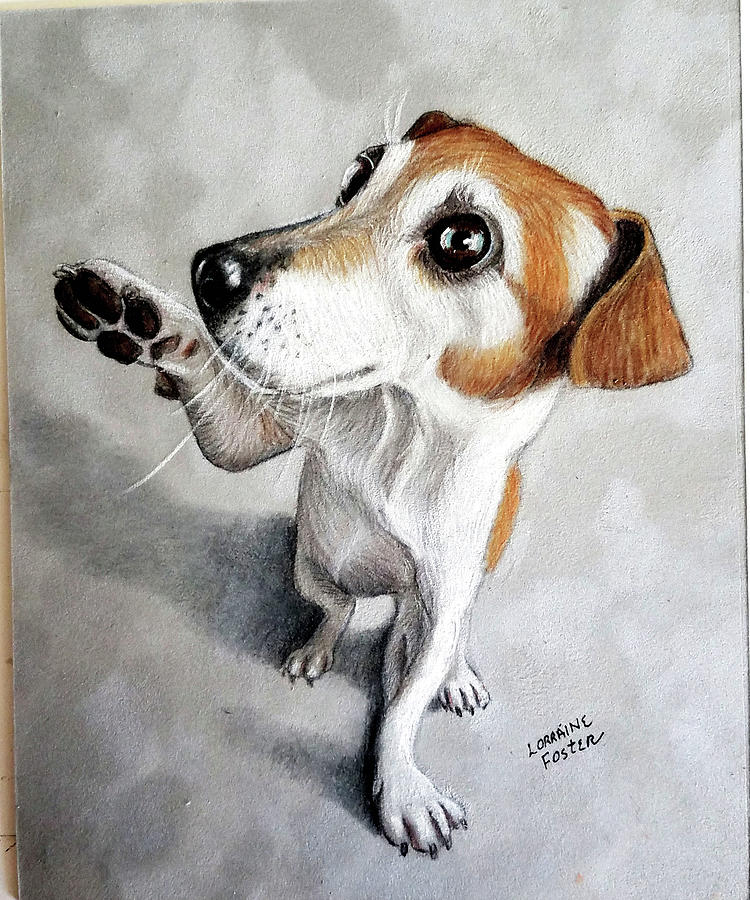 Hi  Five Pup Drawing by Lorraine Foster