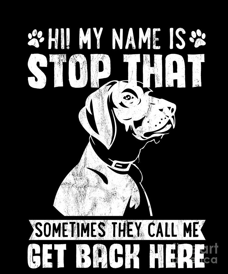Dog Drawing - Hi My Name Is Stop That Funny German Shorthair Pointer  by Noirty Designs