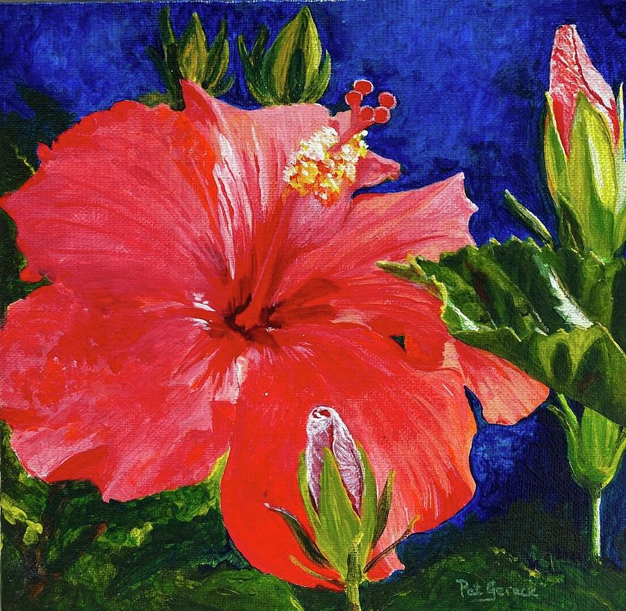 Hibiscus and Buds Painting by Pat Gerace - Fine Art America