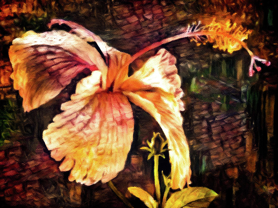 Hibiscus at Dusk Digital Art by Susan Maxwell Schmidt