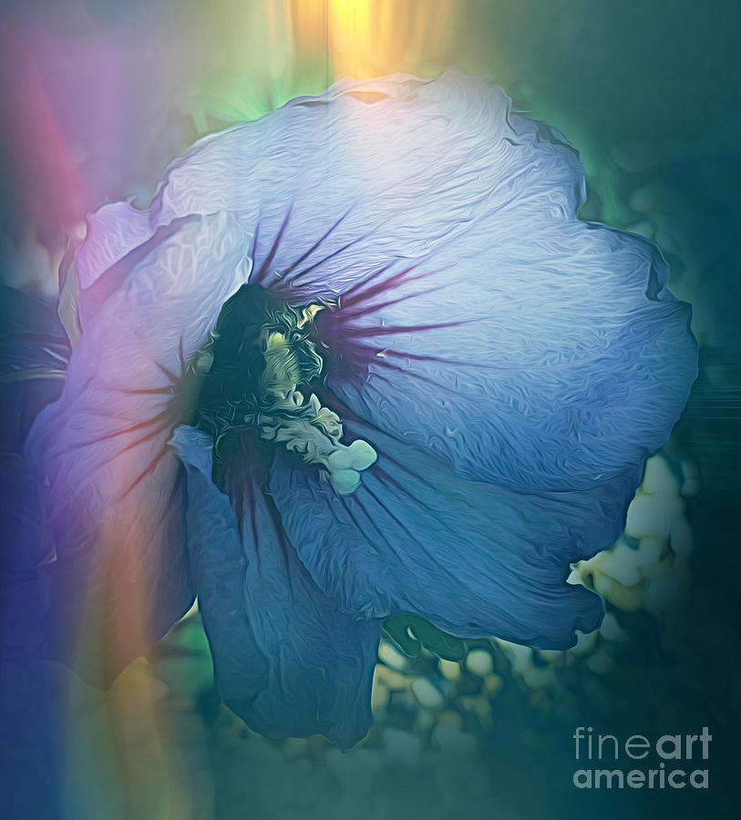 Hibiscus Beauty In The Garden Photograph by Luther Fine Art