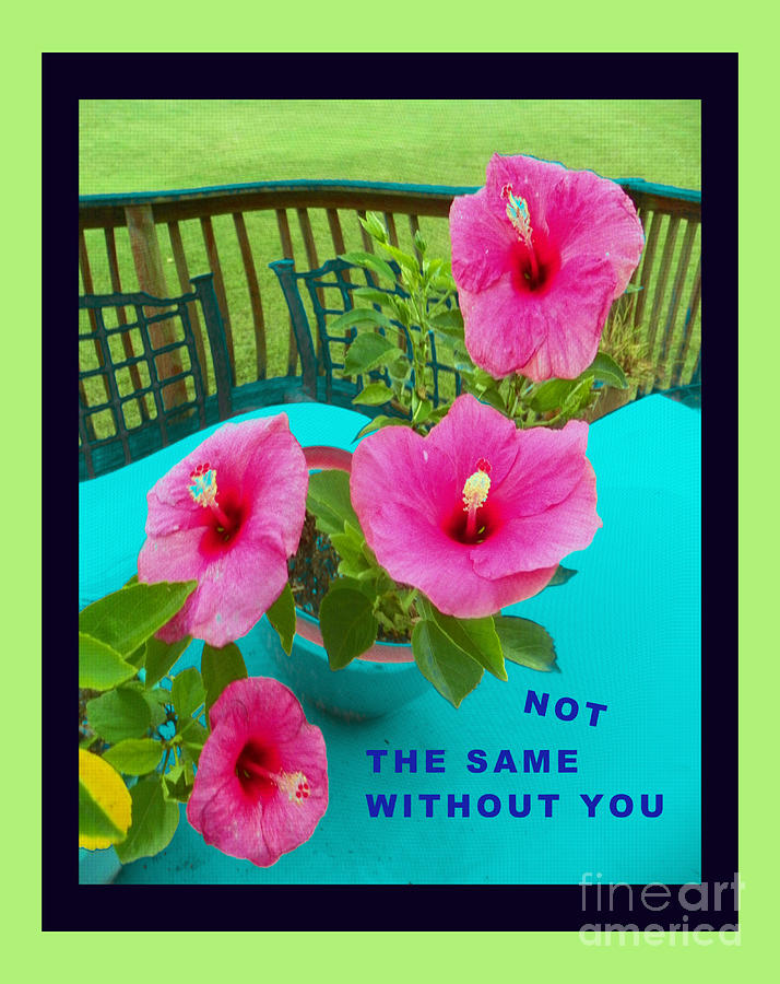Hibiscus Card Digital Art by Shirley Moravec